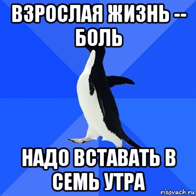 взрослая жизнь -- боль надо вставать в семь утра, Мем  Социально-неуклюжий пингвин