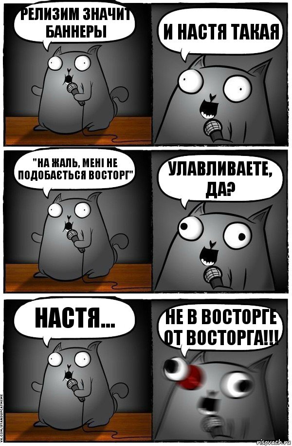 Релизим значит баннеры И Настя такая "На жаль, мені не подобається Восторг" Улавливаете, да? Настя... НЕ В ВОСТОРГЕ ОТ ВОСТОРГА!!!, Комикс  Стендап-кот