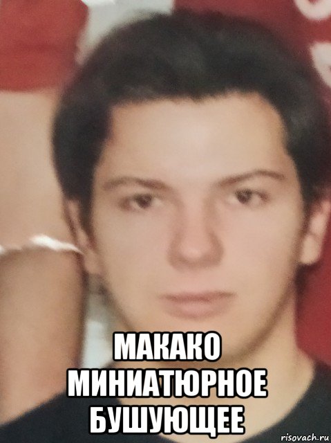  макако миниатюрное бушующее, Мем Трепло