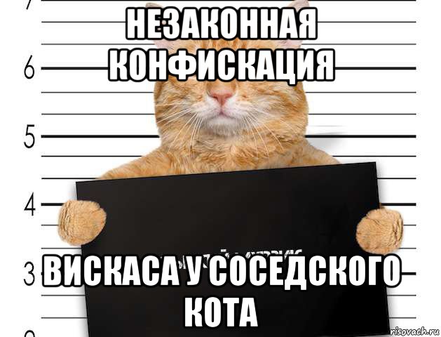 незаконная конфискация вискаса у соседского кота, Мем Трол