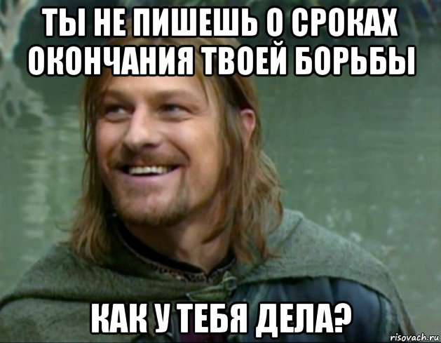 ты не пишешь о сроках окончания твоей борьбы как у тебя дела?, Мем Тролль Боромир