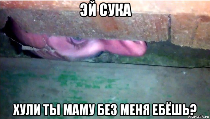 эй сука хули ты маму без меня ебёшь?, Мем ты ебанутый