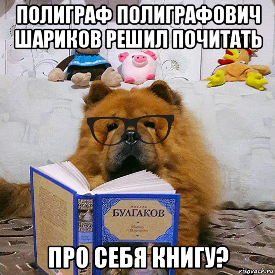 полиграф полиграфович шариков решил почитать про себя книгу?, Мем У собак есть такой недостаток  совать повсюду свой нос