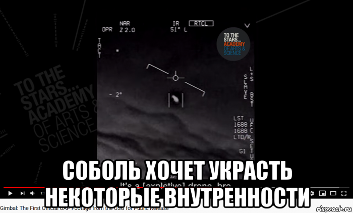  соболь хочет украсть некоторые внутренности