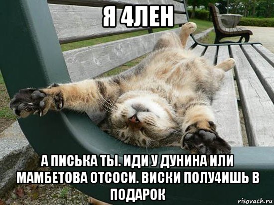 я 4лен а писька ты. иди у дунина или мамбетова отсоси. виски полу4ишь в подарок, Мем Утро
