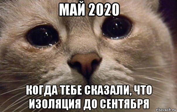 май 2020 когда тебе сказали, что изоляция до сентября