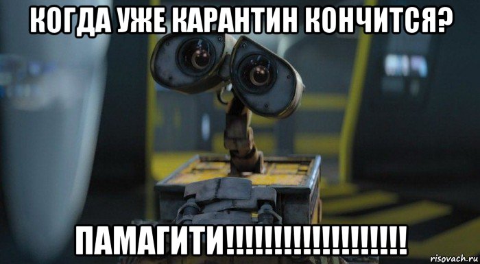 когда уже карантин кончится? памагити!!!!!!!!!!!!!!!!!!!