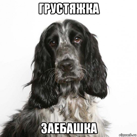 грустяжка заебашка, Мем Вислоухий заяц
