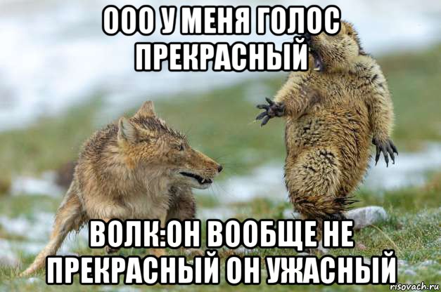 ооо у меня голос прекрасный волк:он вообще не прекрасный он ужасный, Мем Волк и суслик