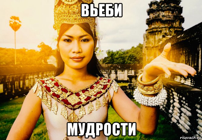 вьеби мудрости, Мем Vostok