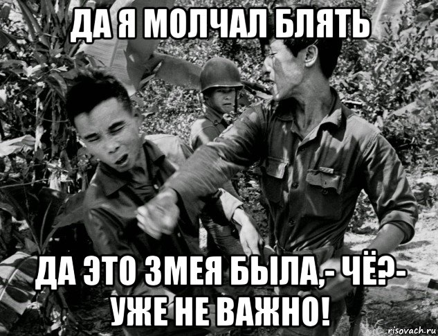да я молчал блять да это змея была,- чё?- уже не важно!, Мем Война во Вьетнаме