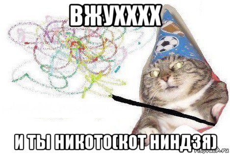 вжухххх и ты никото(кот ниндзя), Мем Вжух мем