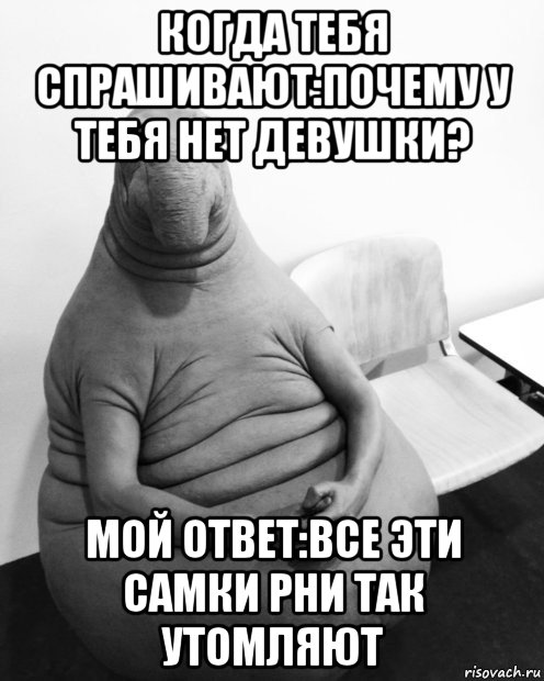 когда тебя спрашивают:почему у тебя нет девушки? мой ответ:все эти самки рни так утомляют, Мем  Ждун