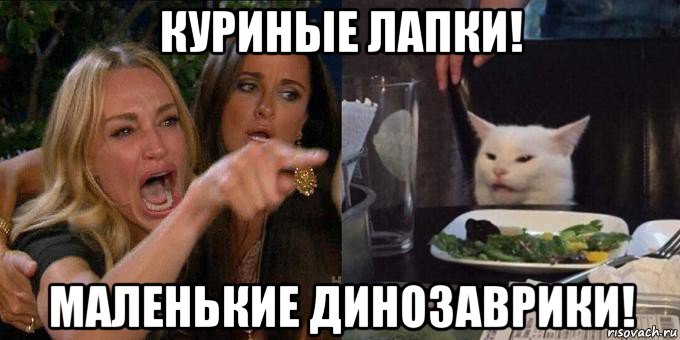 куриные лапки! маленькие динозаврики!, Мем Женщина орёт на кота