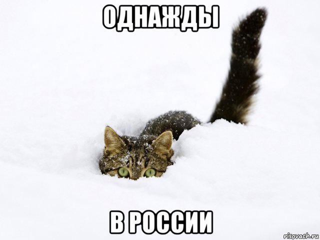 однажды в россии, Мем Зима