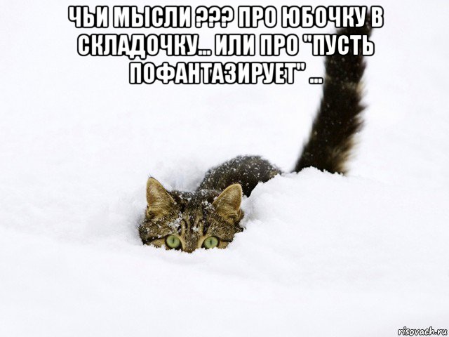 чьи мысли ??? про юбочку в складочку... или про "пусть пофантазирует" ... , Мем Зима