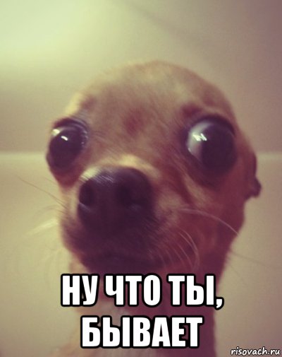  ну что ты, бывает