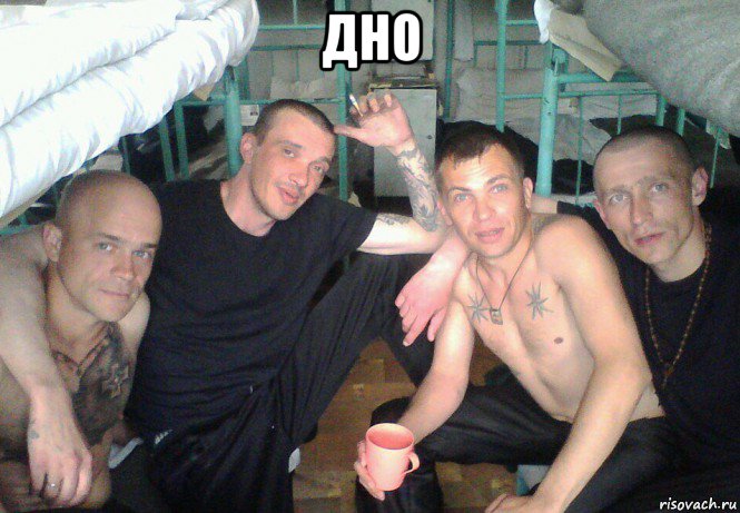 дно , Мем Animals world