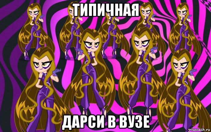 типичная дарси в вузе