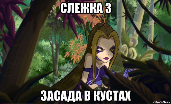 слежка 3 засада в кустах