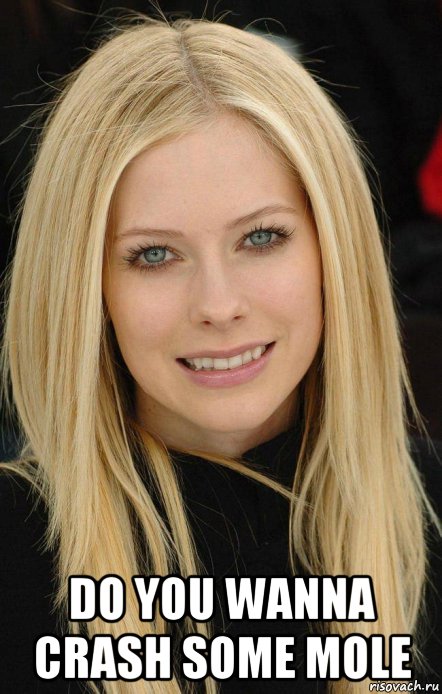  do you wanna crash some mole, Мем Avril