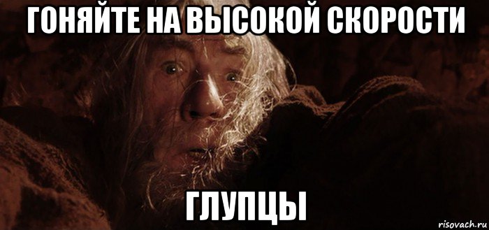 гоняйте на высокой скорости глупцы, Мем Бегите глупцы