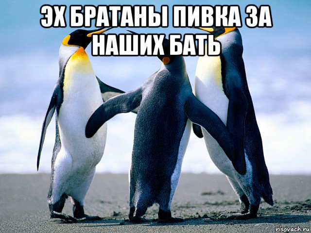 эх братаны пивка за наших бать 
