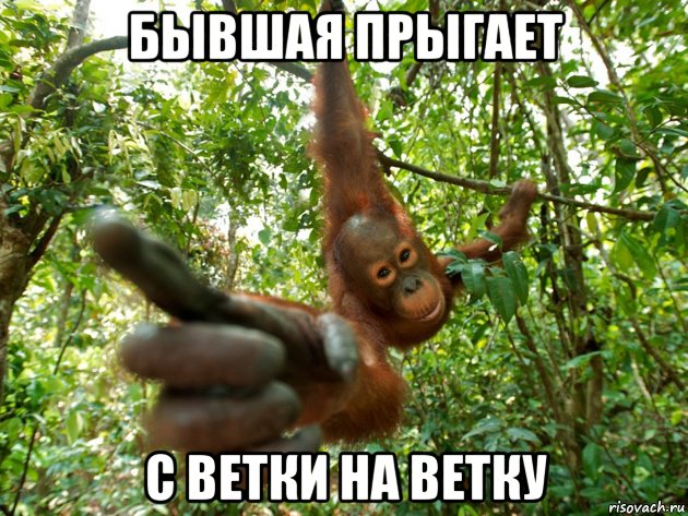 бывшая прыгает с ветки на ветку, Мем Бывшая