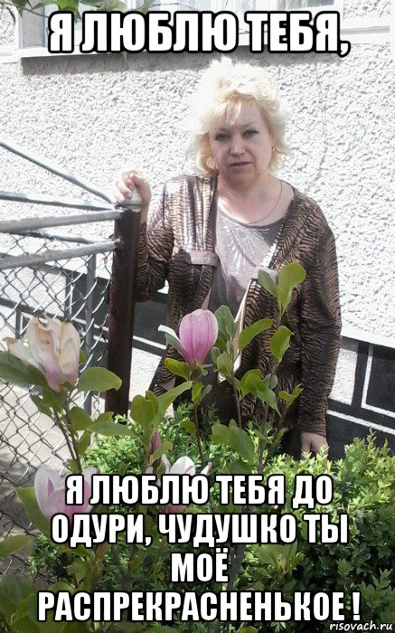 я люблю тебя, я люблю тебя до одури, чудушко ты моё распрекрасненькое !, Мем ЧУДУШКО