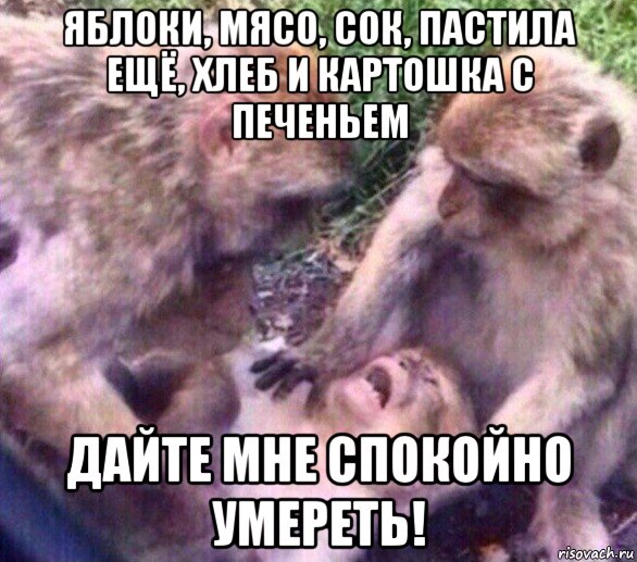 яблоки, мясо, сок, пастила ещё, хлеб и картошка с печеньем дайте мне спокойно умереть!, Мем Дайте мне спокойно умереть