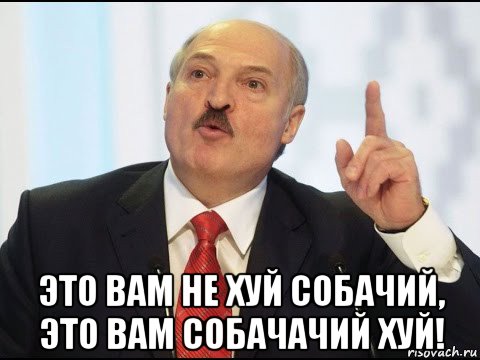  это вам не хуй собачий, это вам собачачий хуй!, Мем Ддд