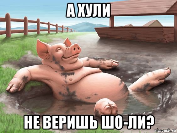 а хули не веришь шо-ли?