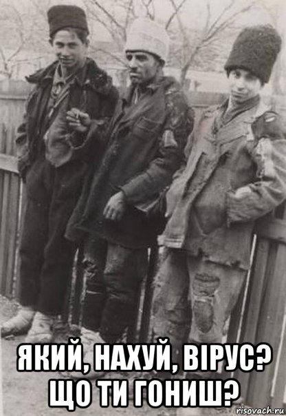  який, нахуй, вірус? що ти гониш?, Мем Долрлр