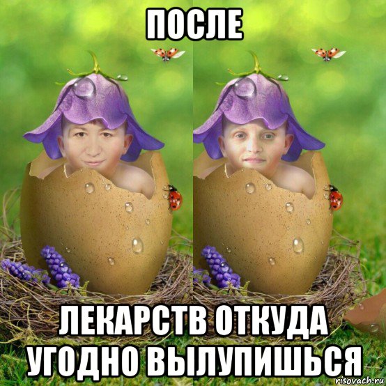 после лекарств откуда угодно вылупишься, Мем Две феи колокольчиковые