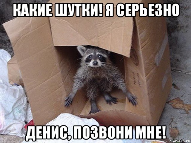 какие шутки! я серьезно денис, позвони мне!