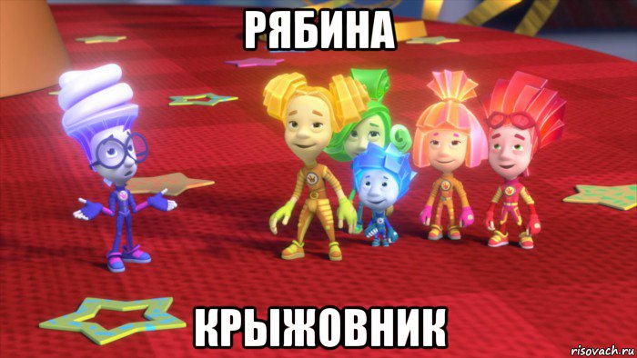 рябина крыжовник