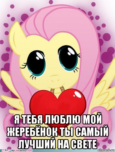 я тебя люблю мой жеребёнок ты самый лучший на свете, Мем Флаттершай