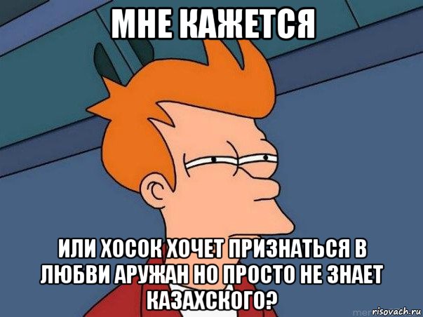 мне кажется или хосок хочет признаться в любви аружан но просто не знает казахского?, Мем  Фрай (мне кажется или)