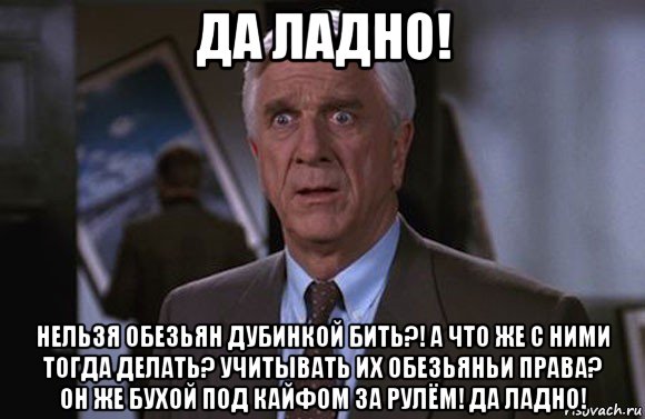 да ладно! нельзя обезьян дубинкой бить?! а что же с ними тогда делать? учитывать их обезьяньи права? он же бухой под кайфом за рулём! да ладно!, Мем Френк Дребин