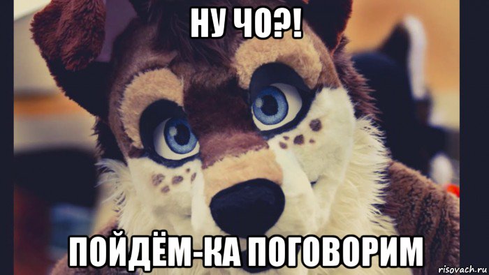 ну чо?! пойдём-ка поговорим, Мем Фурри