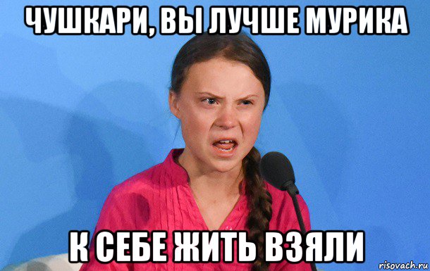 чушкари, вы лучше мурика к себе жить взяли
