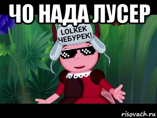 чо нада лусер , Мем Гучи