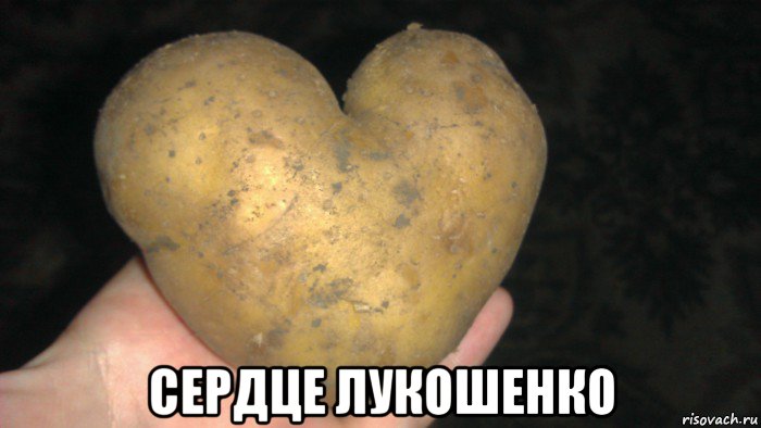  сердце лукошенко, Мем Иногда у овоща больше диапазон ч