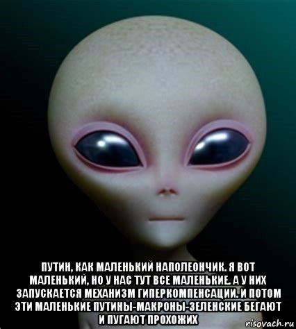  путин, как маленький наполеончик. я вот маленький, но у нас тут все маленькие. а у них запускается механизм гиперкомпенсации. и потом эти маленькие путины-макроны-зеленские бегают и пугают прохожих, Мем Инопланетянин