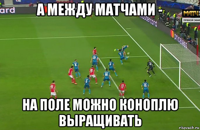 а между матчами - на поле можно коноплю выращивать, Мем Кг