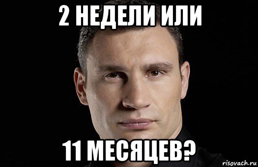 2 недели или 11 месяцев?