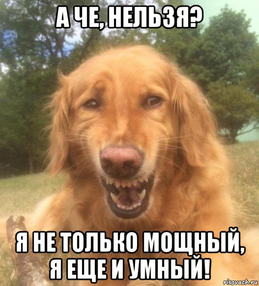 а че, нельзя? я не только мощный, я еще и умный!