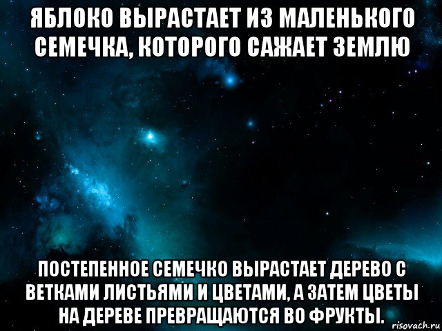 яблоко вырастает из маленького семечка, которого сажает землю постепенное семечко вырастает дерево с ветками листьями и цветами, а затем цветы на дереве превращаются во фрукты.