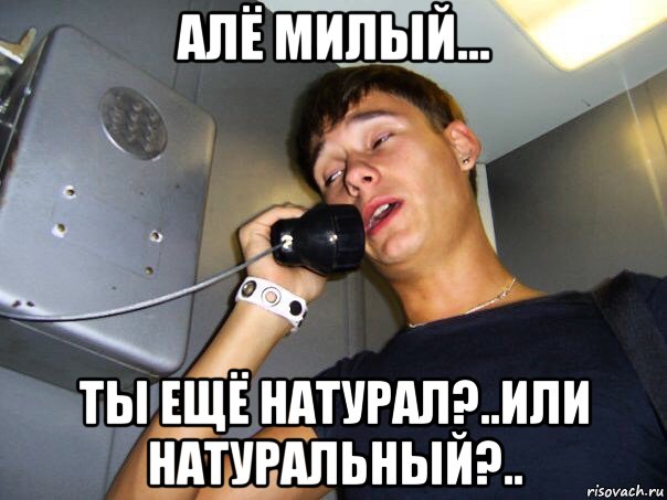 алё милый... ты ещё натурал?..или натуральный?.., Мем КостиК