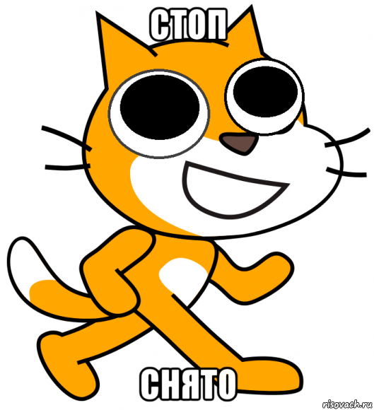 стоп снято, Мем Кот арот